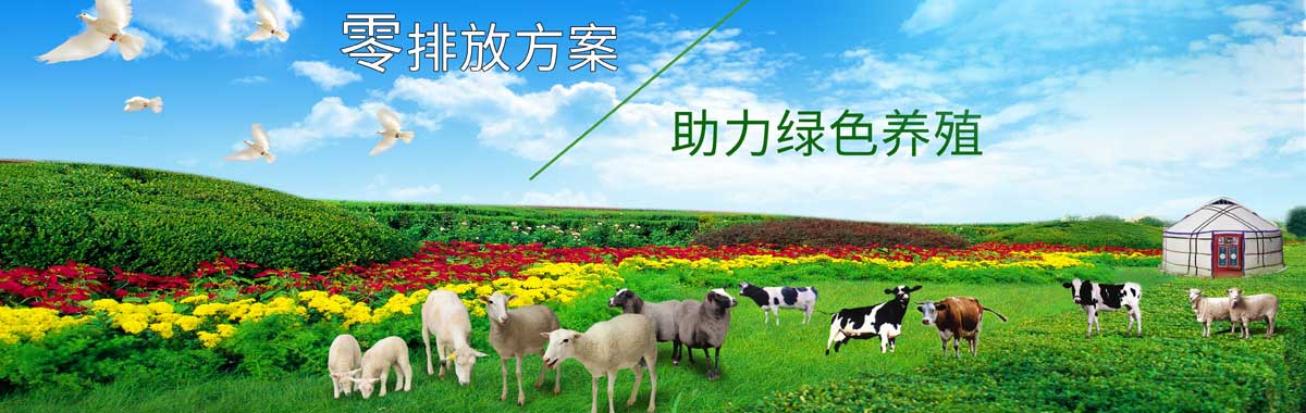 &#24320;&#20113;&#25163;&#26426;